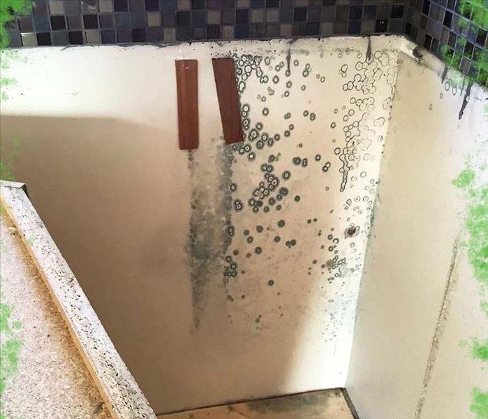 mold behind a cabinet